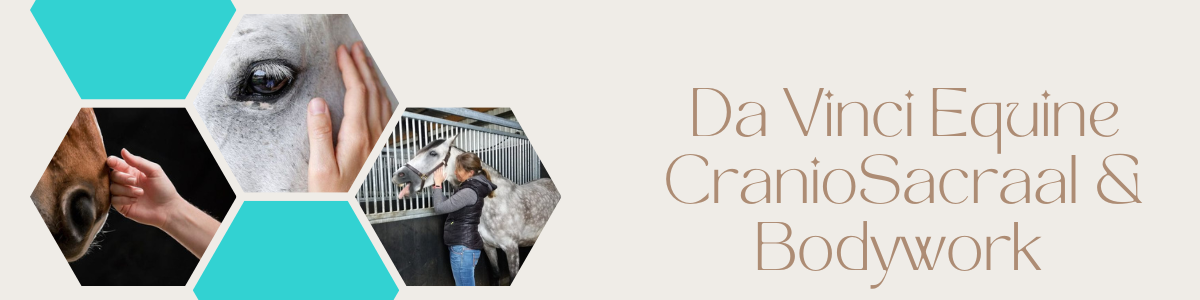 Da Vinci CranioSacraal & Bodywork