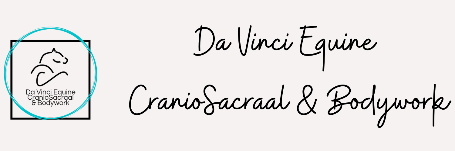 Da Vinci Equine CranioSacraal & Bodywork Header
