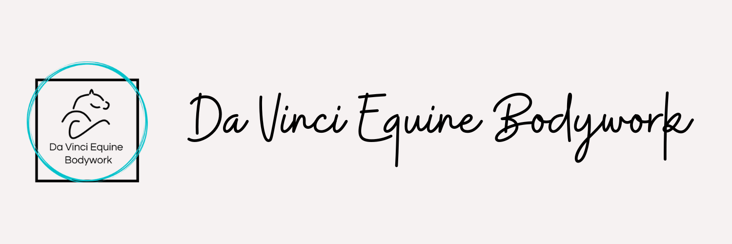 Da Vinci CranioSacraal & Bodywork